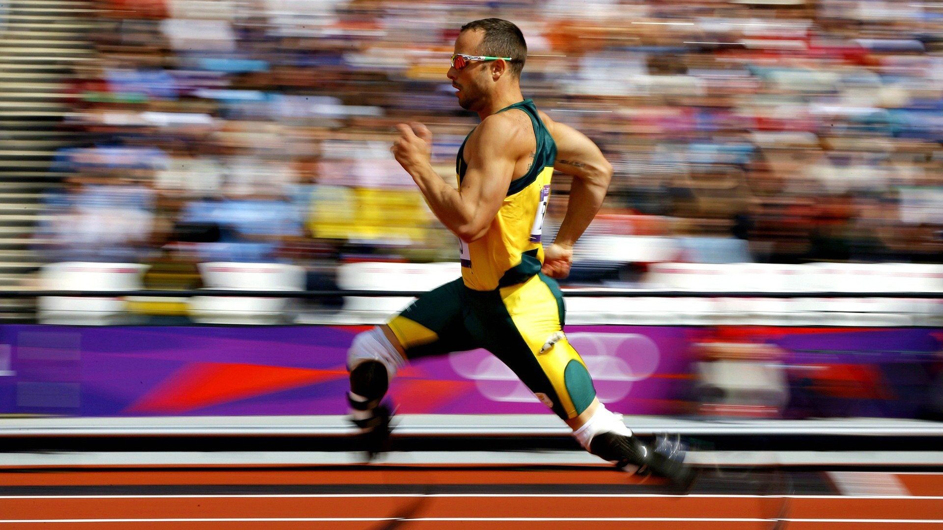 高校运动训练科学化监控体系,高校运动训练科学化监控体系建设